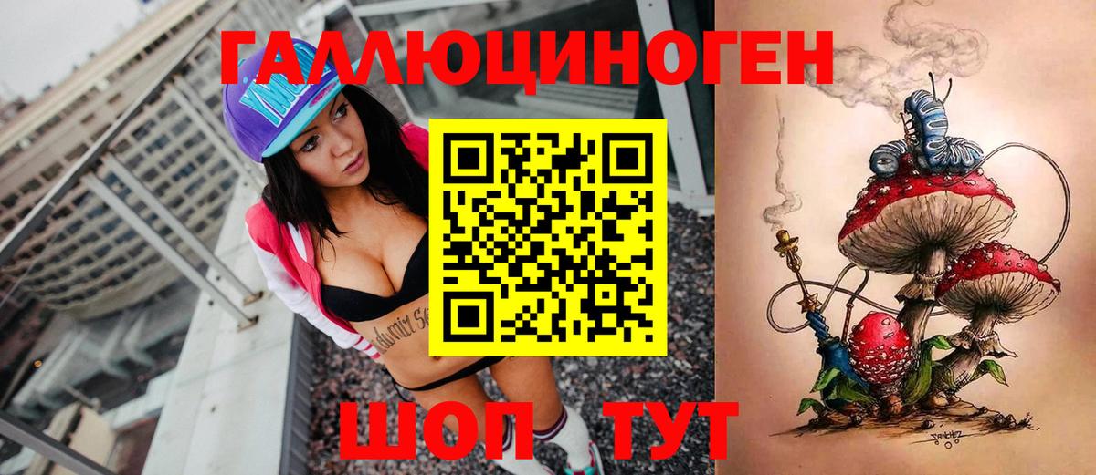 Псилоцибиновые грибы Cubensis Обнинск